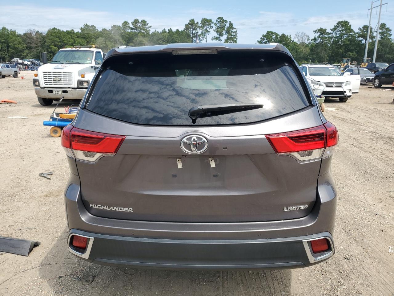 2019 Toyota Highlander Limited VIN: 5TDYZRFH0KS369435 Lot: 67945674
