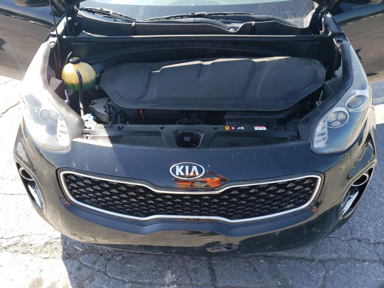 2019 Kia Sportage Lx VIN: KNDPMCAC1K7551691 Lot: 67565184