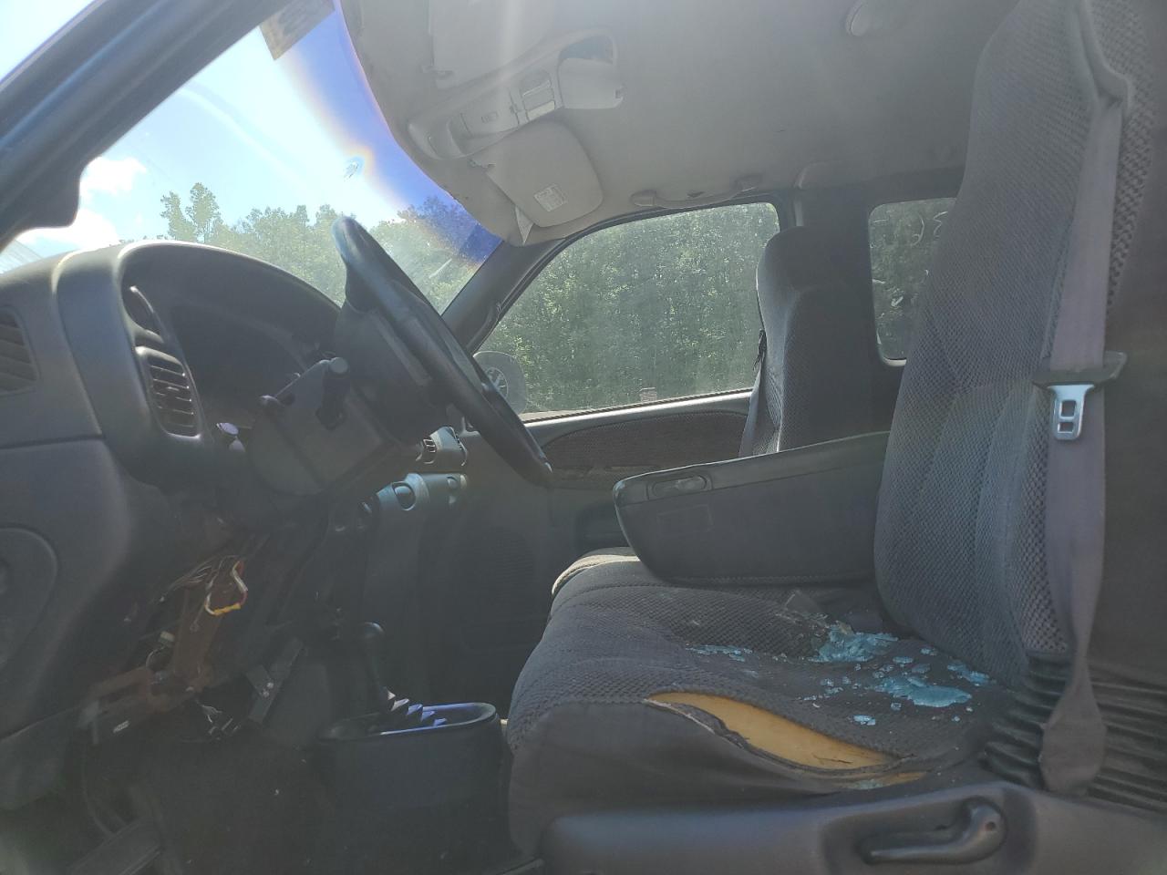 1999 Dodge Ram 1500 VIN: 1B7HF13Y9XJ631617 Lot: 66676554