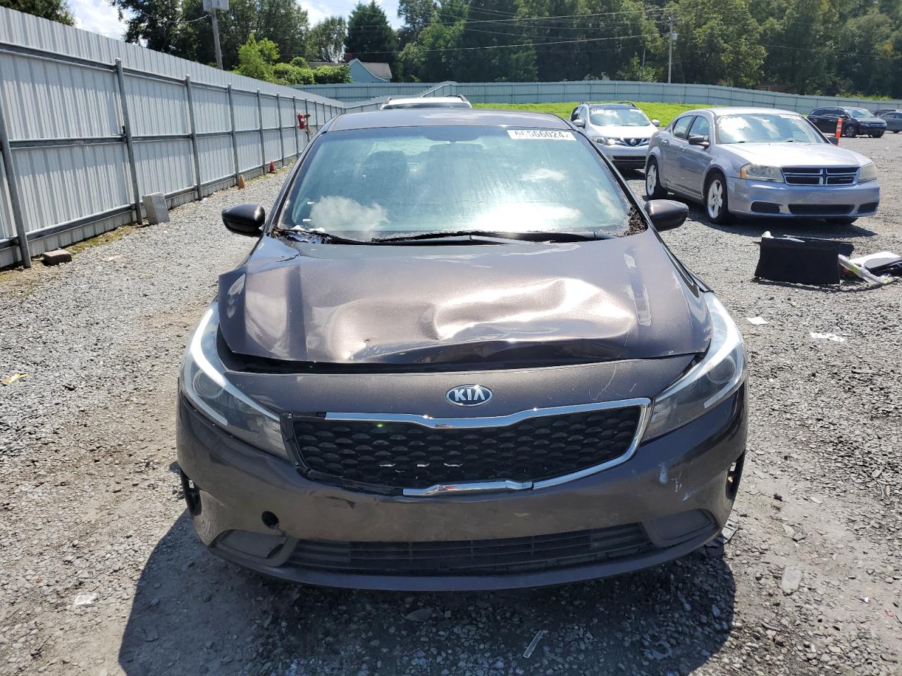 2018 Kia Forte Lx VIN: 3KPFK4A74JE212559 Lot: 66566024