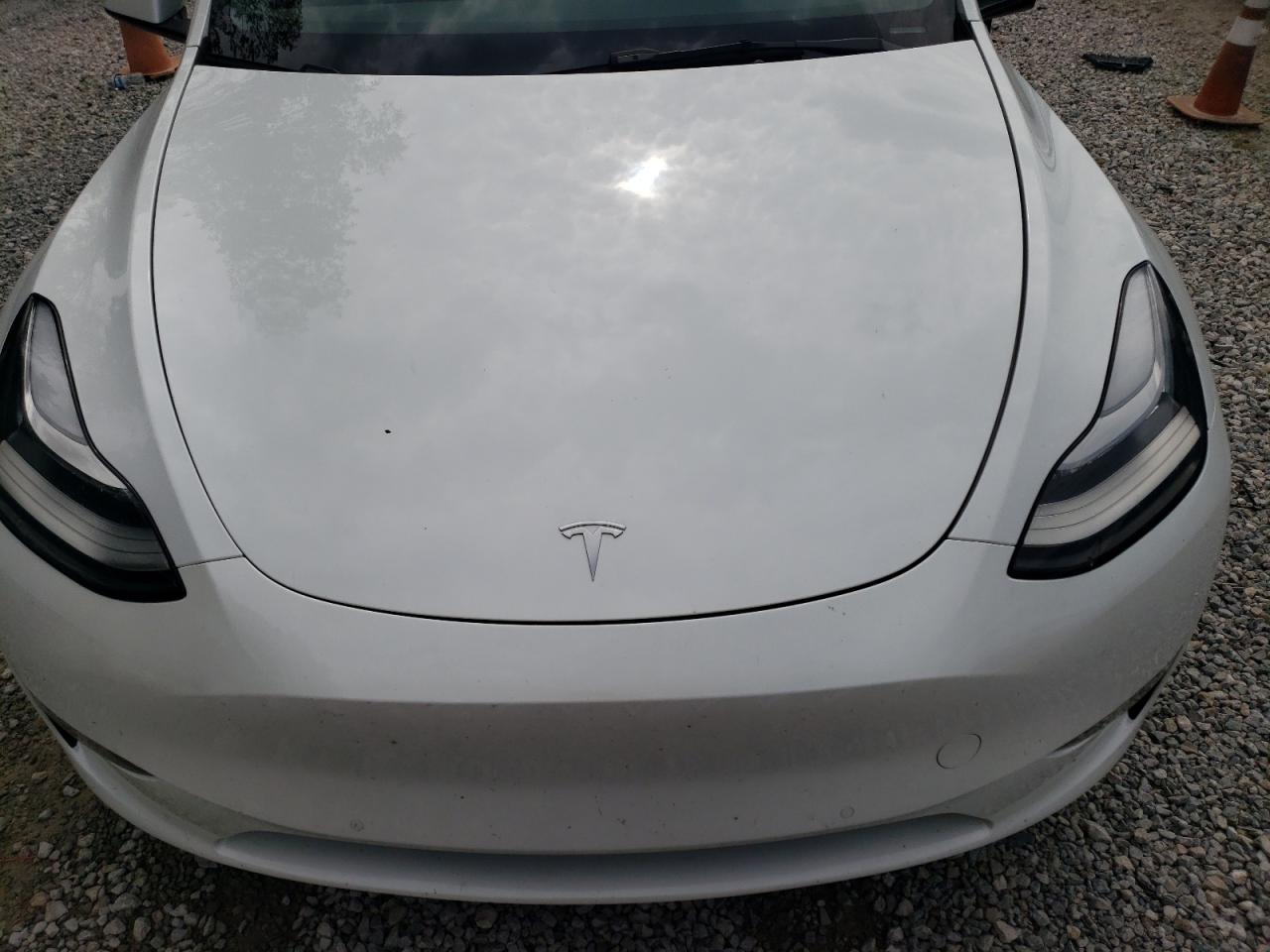 2021 Tesla Model Y VIN: 5YJYGDEE9MF203695 Lot: 69501304