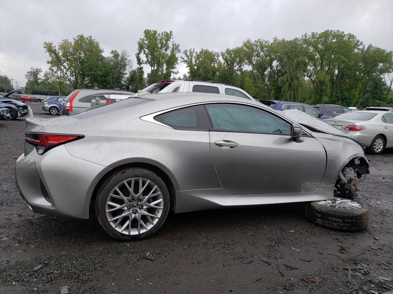 2019 Lexus Rc 300 VIN: JTHS85BC3K5004697 Lot: 66203924