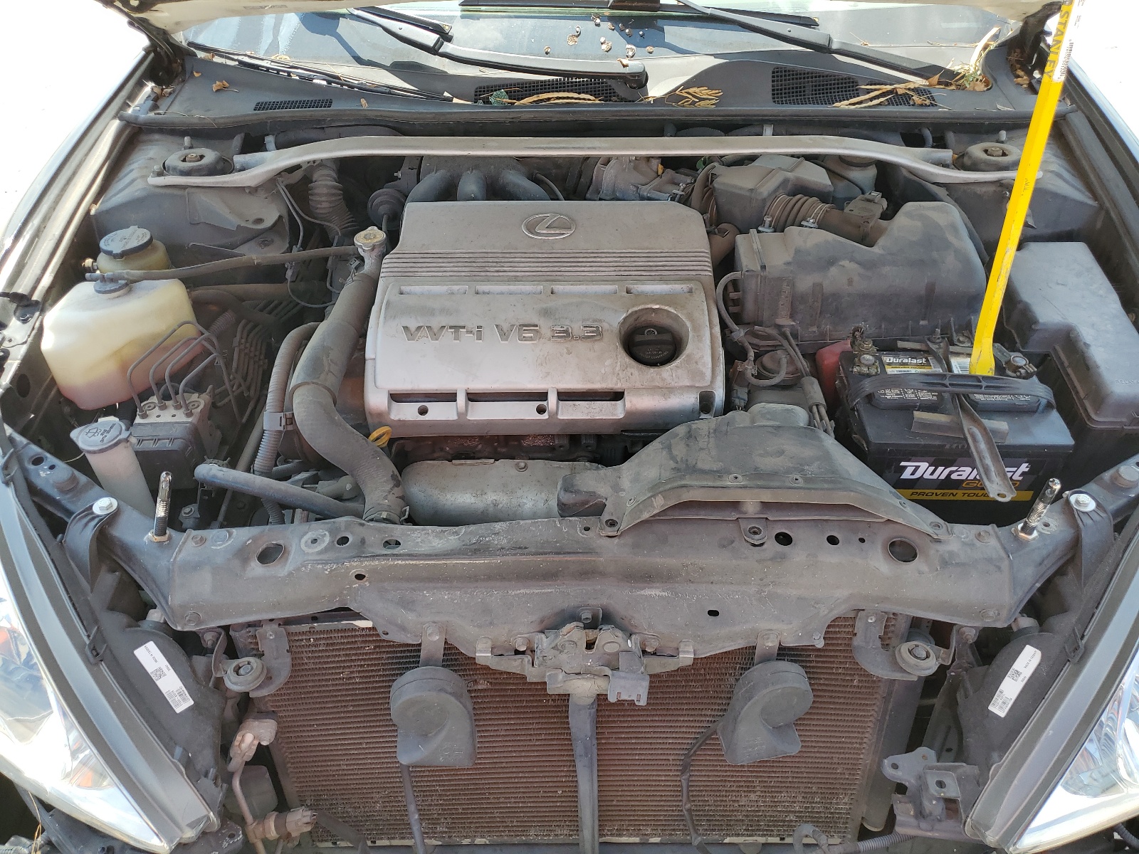 JTHBA30G955122319 2005 Lexus Es 330