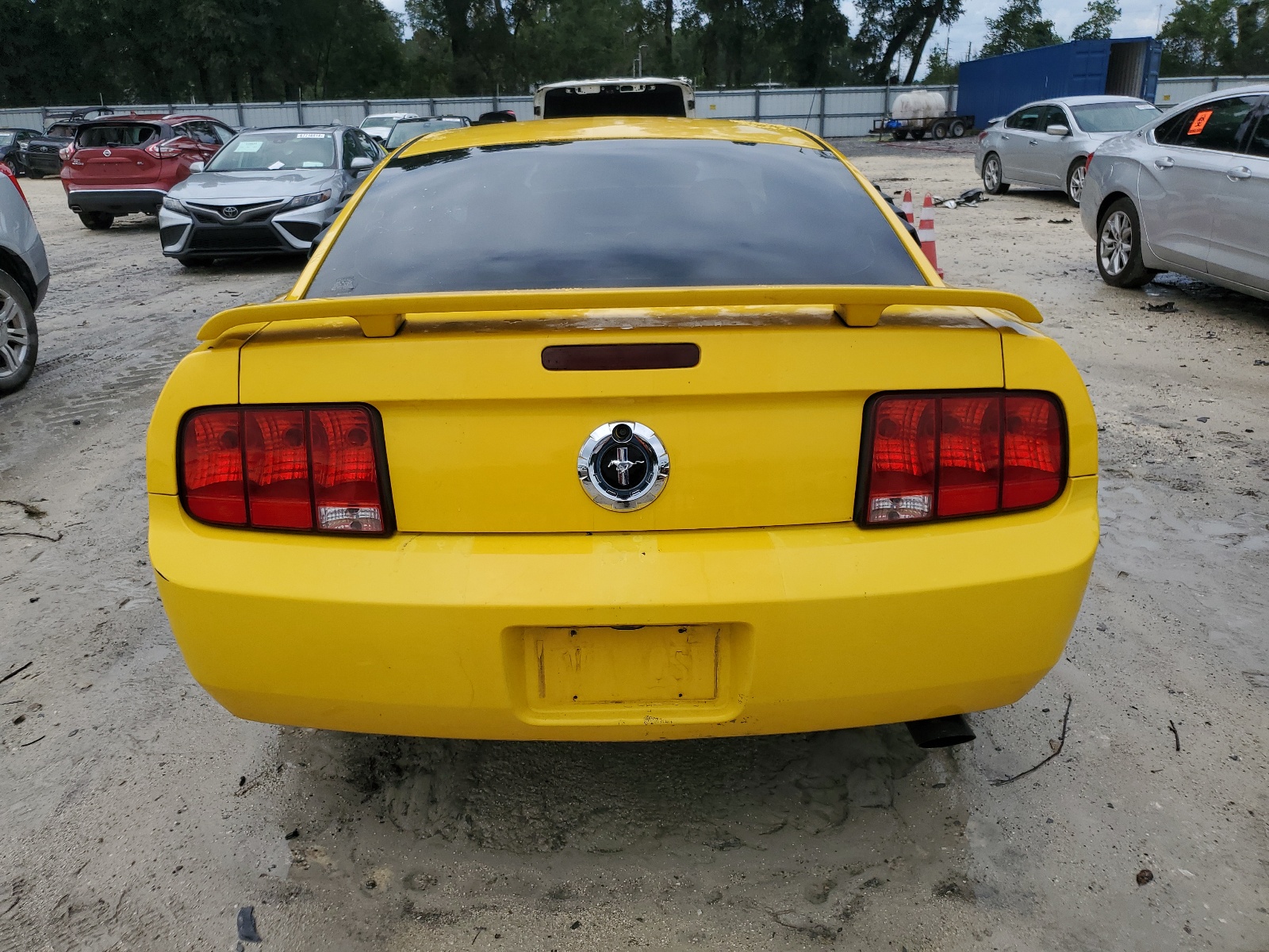 1ZVFT80N665241386 2006 Ford Mustang