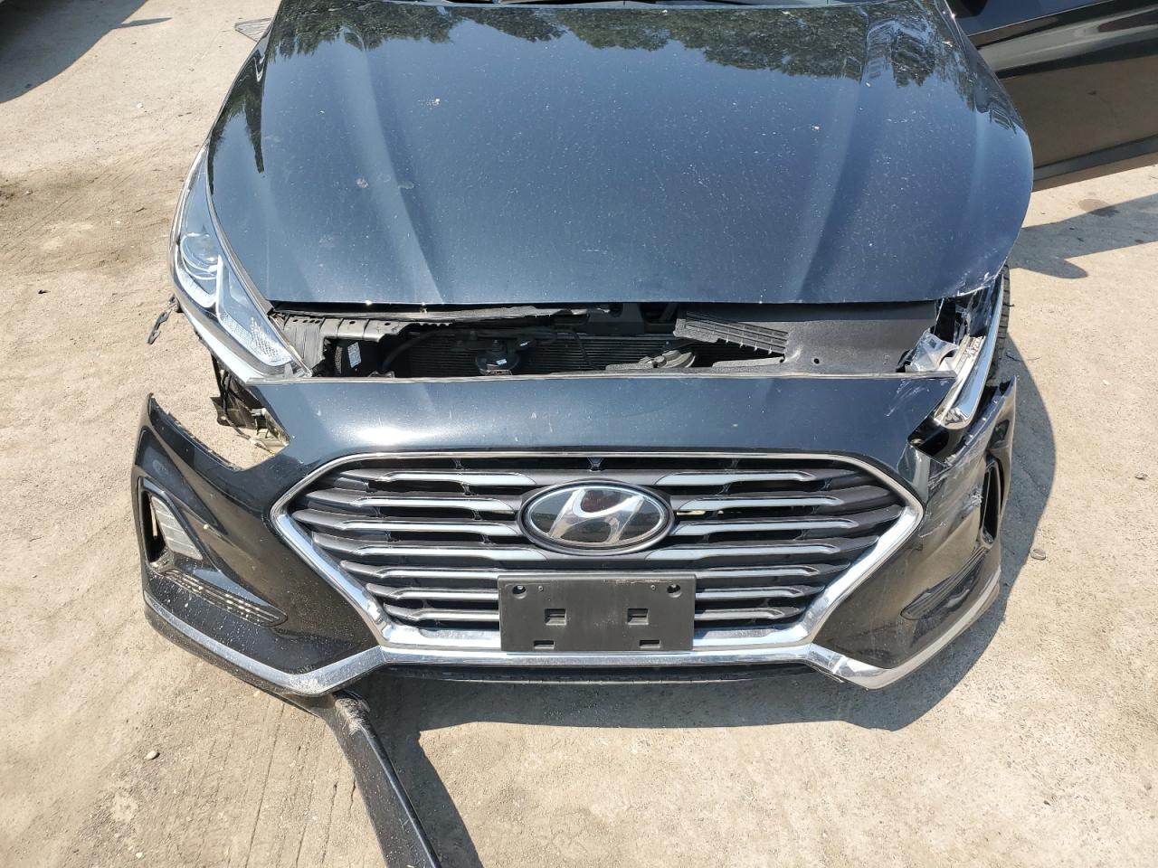 2019 Hyundai Sonata Se VIN: 5NPE24AF9KH783044 Lot: 65159824