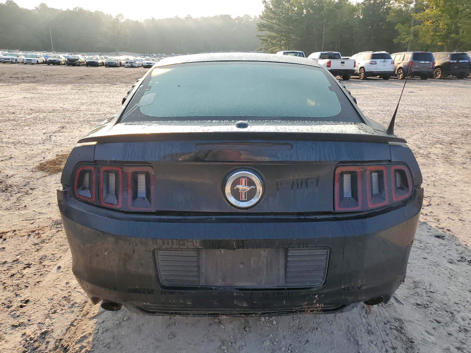 1ZVBP8AMXE5248980 2014 Ford Mustang