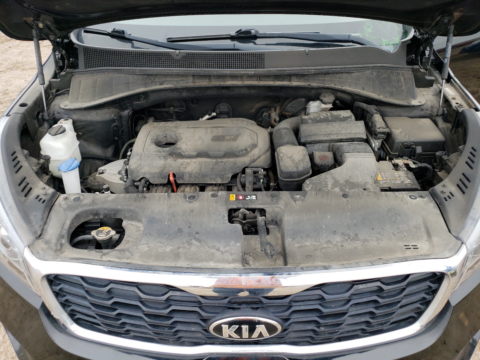 5XYPGDA31KG566739 2019 Kia Sorento L