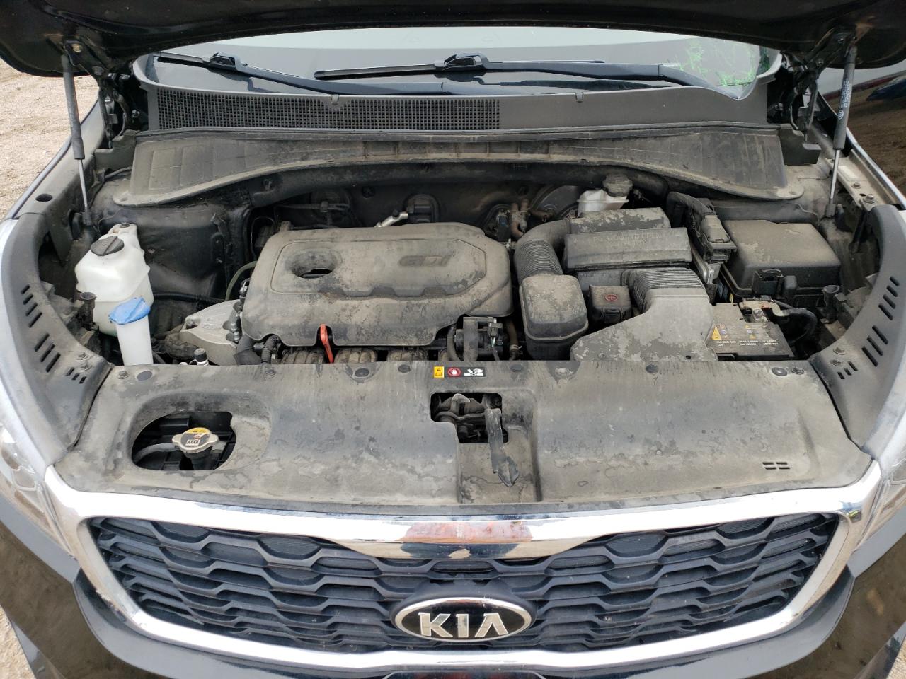 2019 Kia Sorento L VIN: 5XYPGDA31KG566739 Lot: 67539484