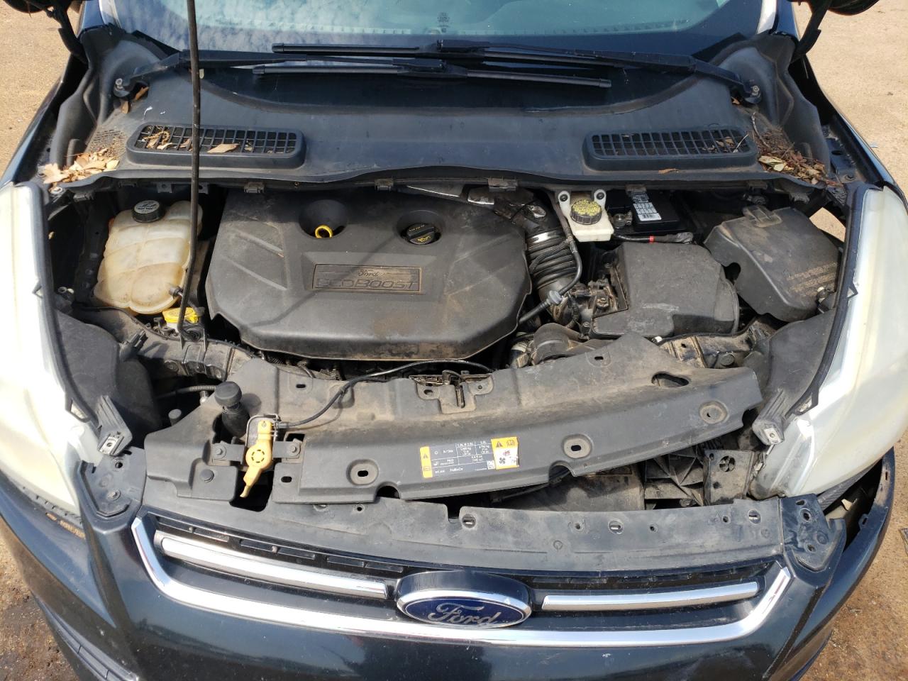 2013 Ford Escape Sel VIN: 1FMCU0H92DUA14223 Lot: 68907794