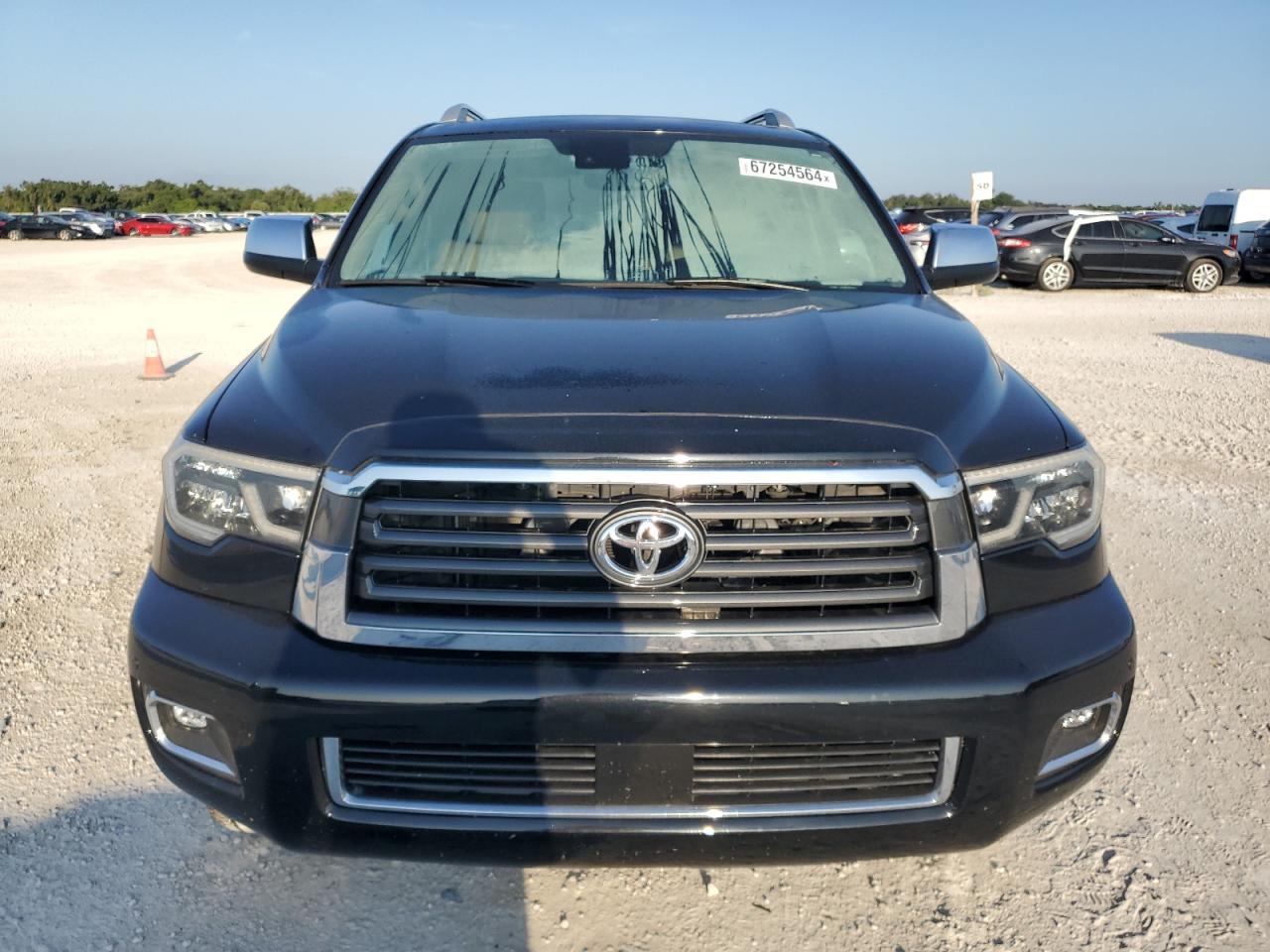2019 Toyota Sequoia Limited VIN: 5TDJY5G11KS169825 Lot: 67254564