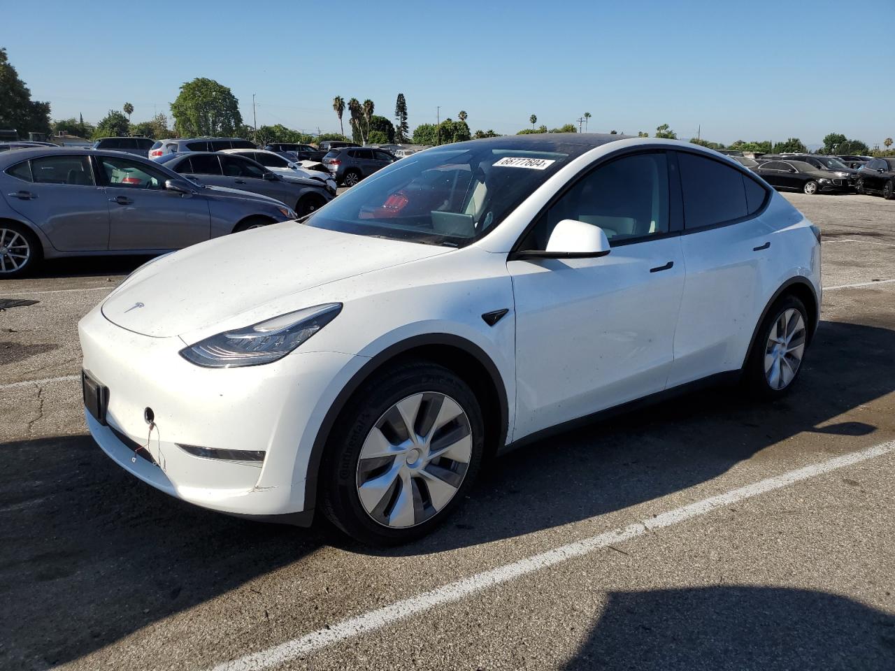 7SAYGDEE1PA036401 2023 TESLA MODEL Y - Image 1