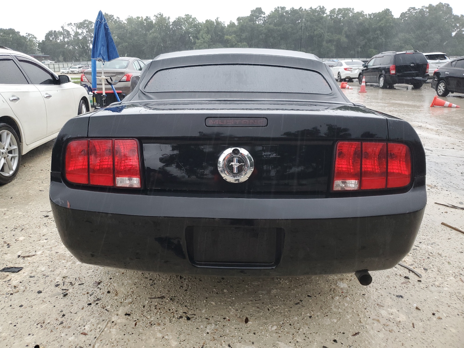 1ZVHT84N685166923 2008 Ford Mustang