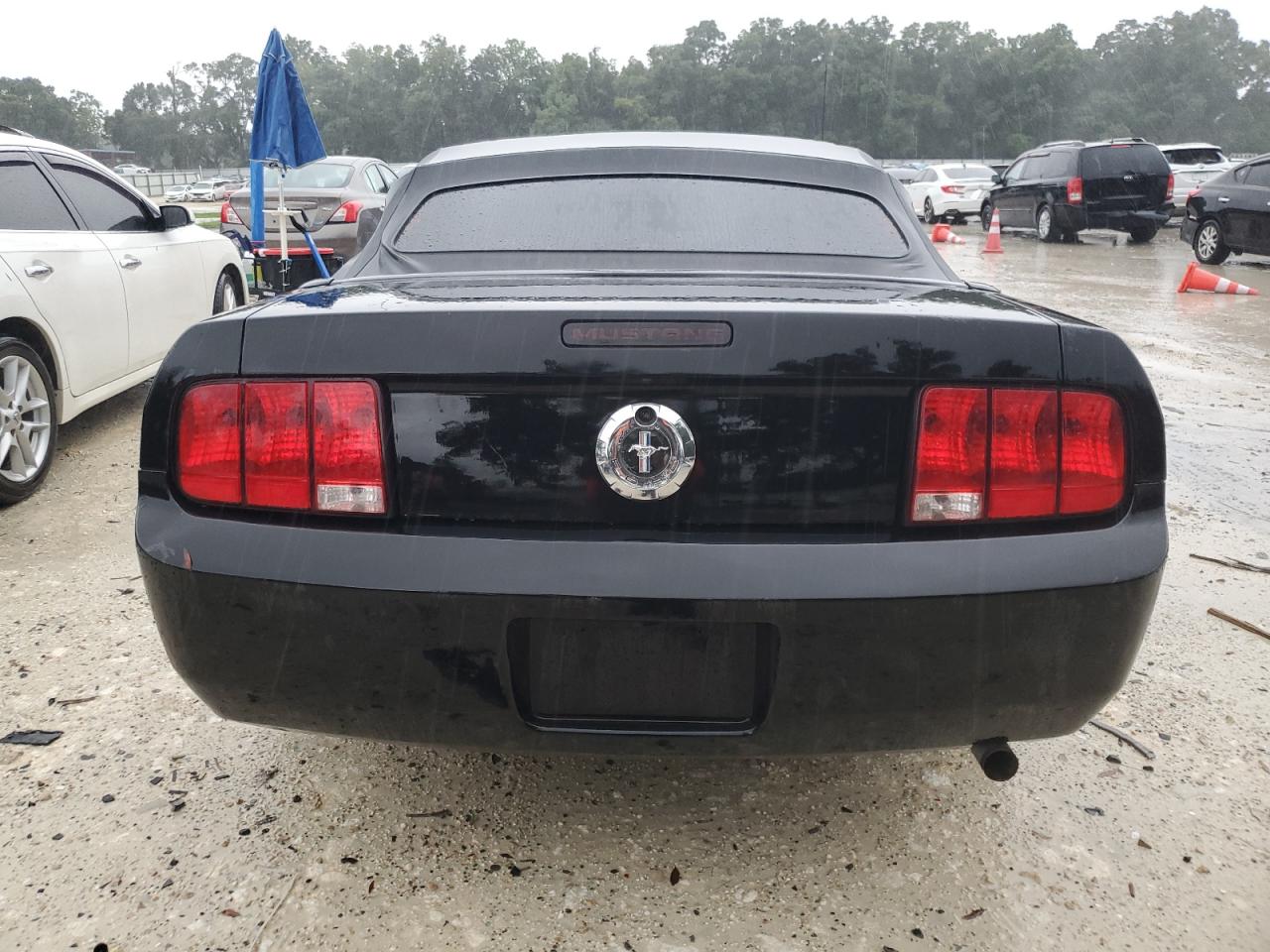 2008 Ford Mustang VIN: 1ZVHT84N685166923 Lot: 65121724