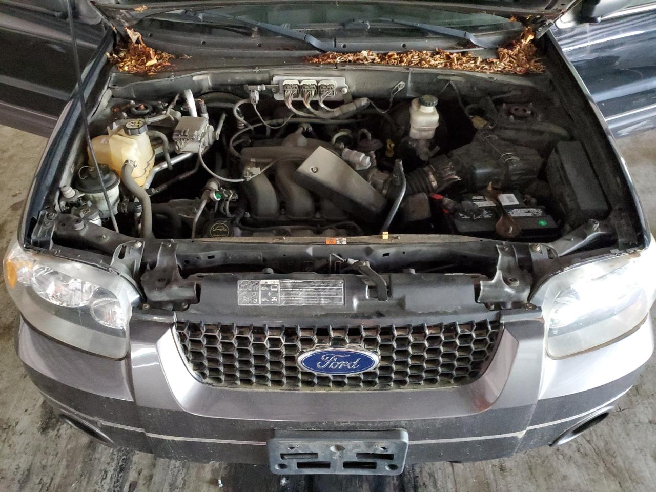 2006 Ford Escape Xlt VIN: 1FMYU93116KD17181 Lot: 66418544