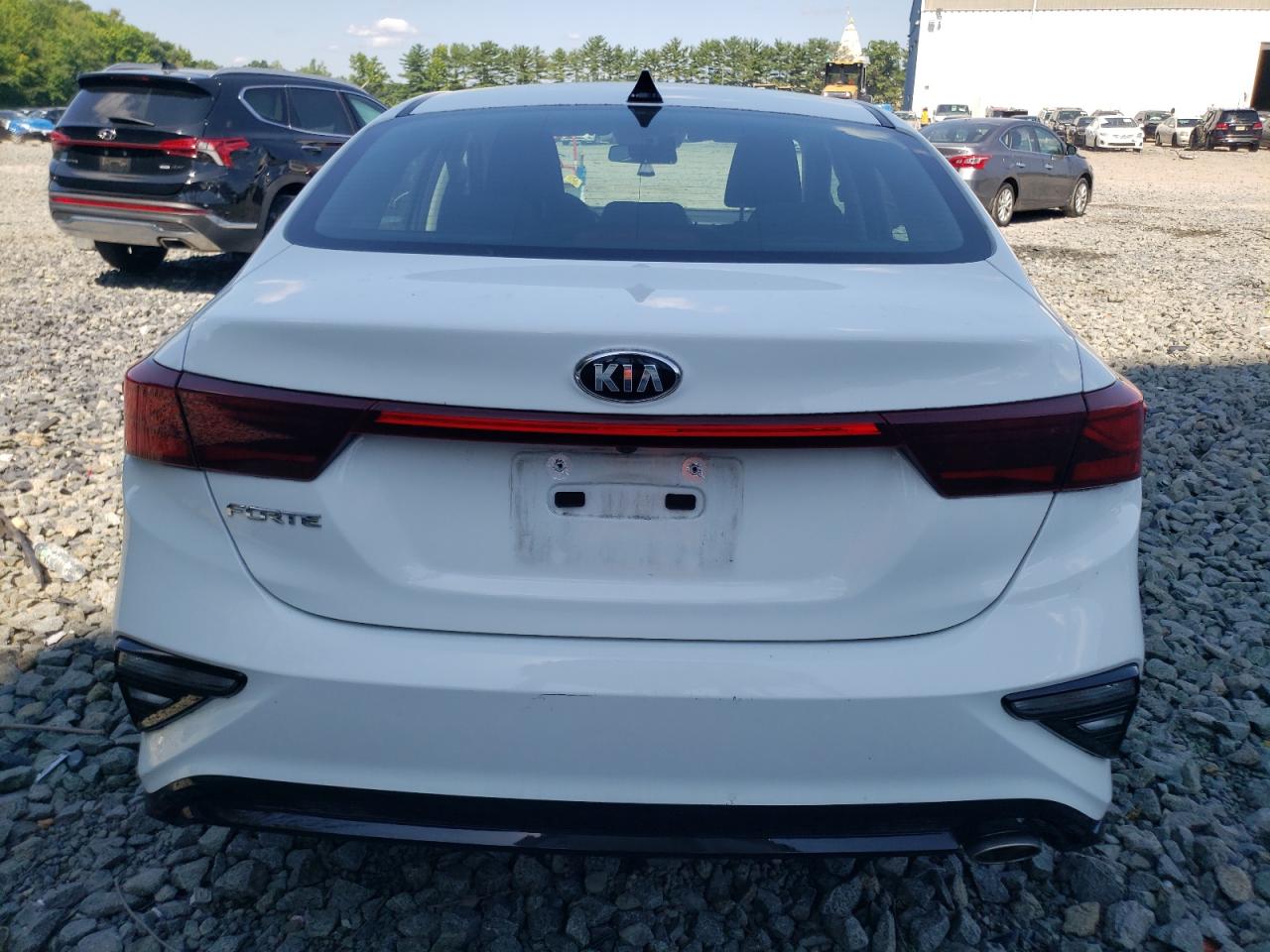 2020 Kia Forte Fe VIN: 3KPF24AD0LE156032 Lot: 66866184