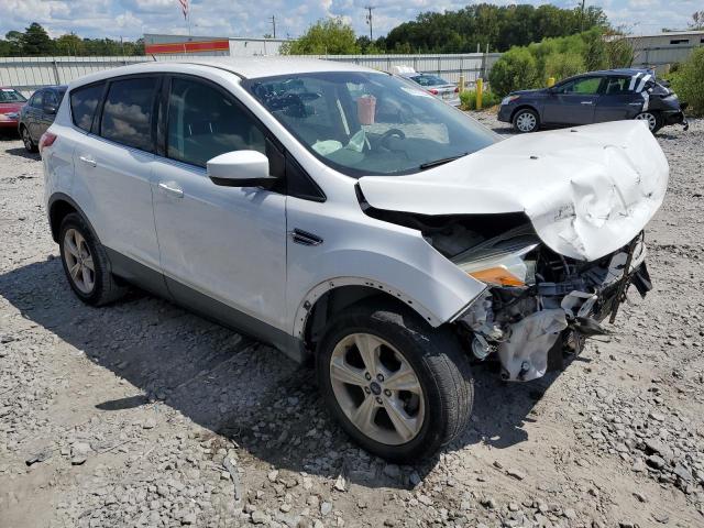  FORD ESCAPE 2013 Білий