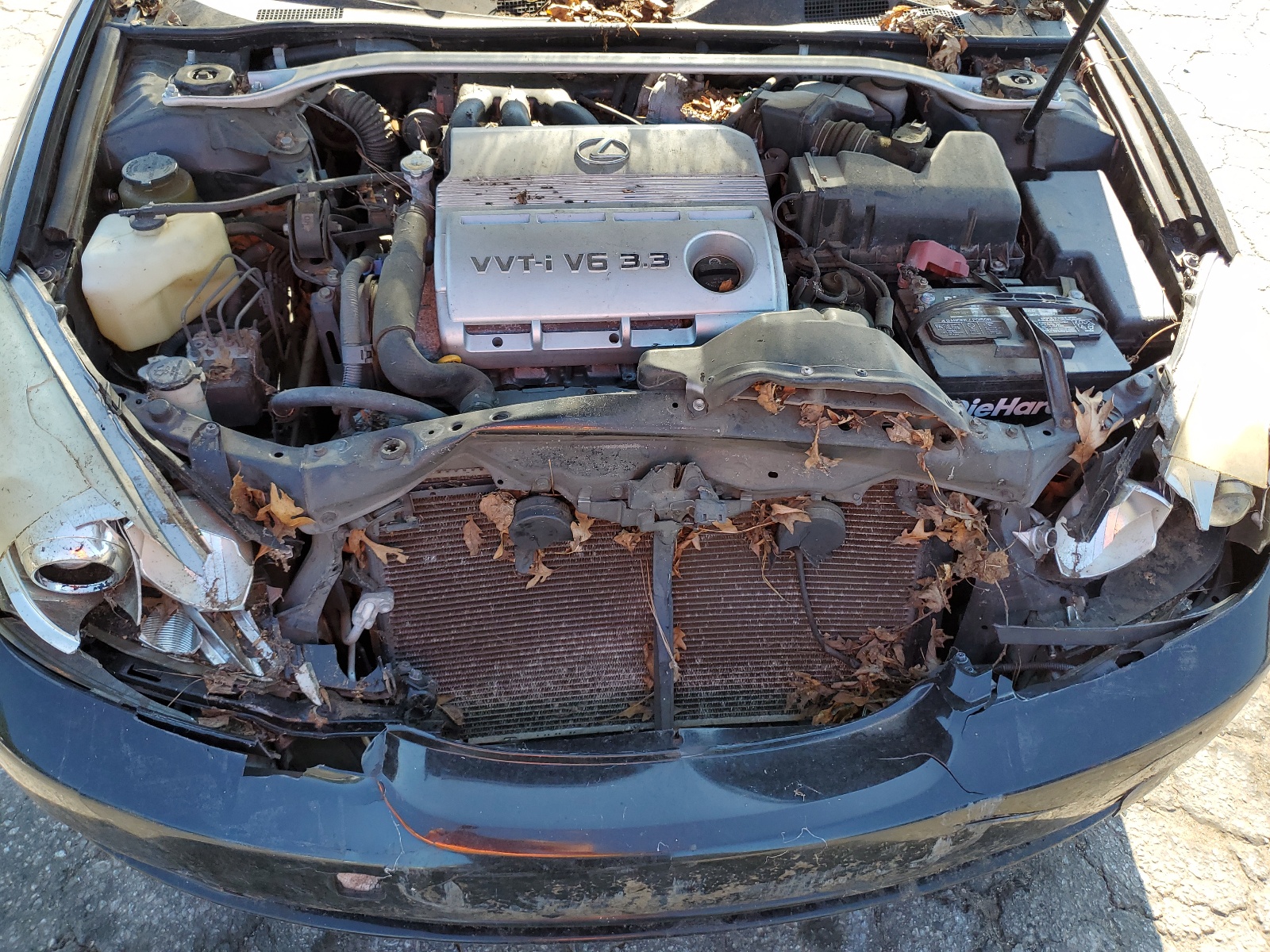 JTHBA30G655093880 2005 Lexus Es 330