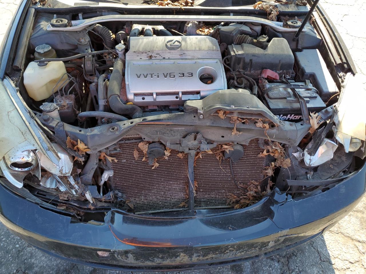 2005 Lexus Es 330 VIN: JTHBA30G655093880 Lot: 67103214