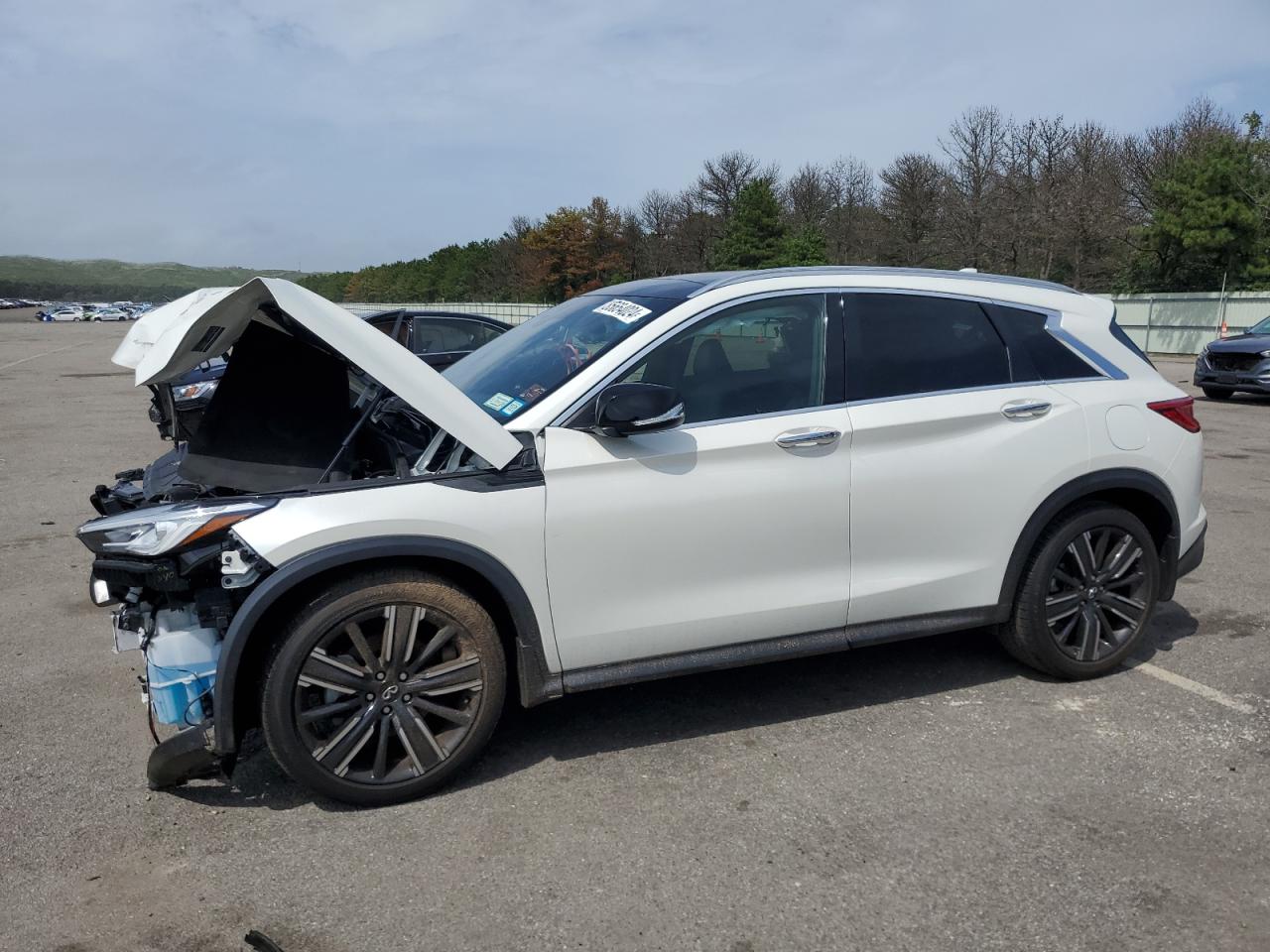 2021 Infiniti Qx50 Luxe VIN: 3PCAJ5BB8MF107723 Lot: 65654024