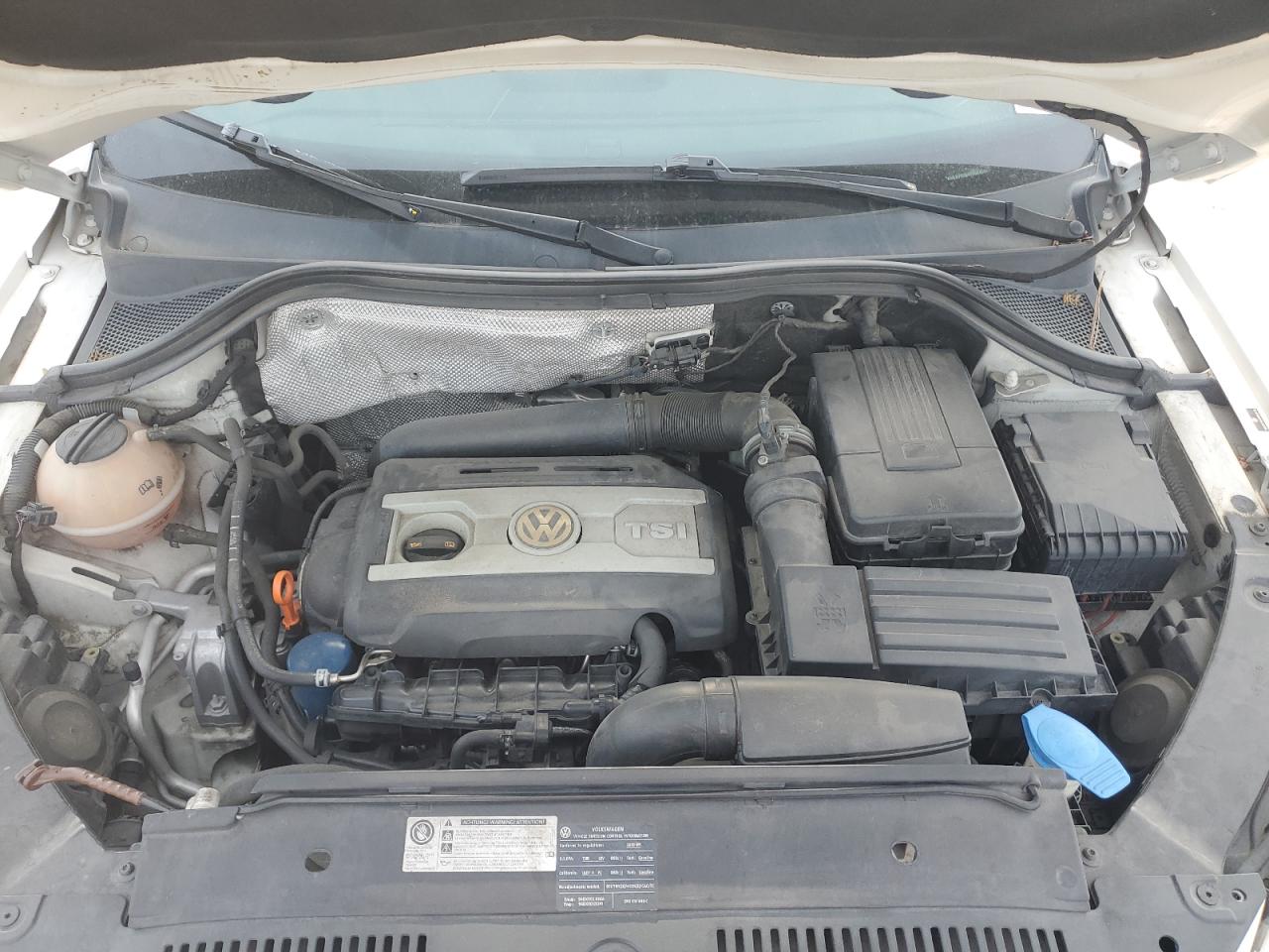 2009 Volkswagen Tiguan S VIN: WVGAV75N49W526138 Lot: 67704674