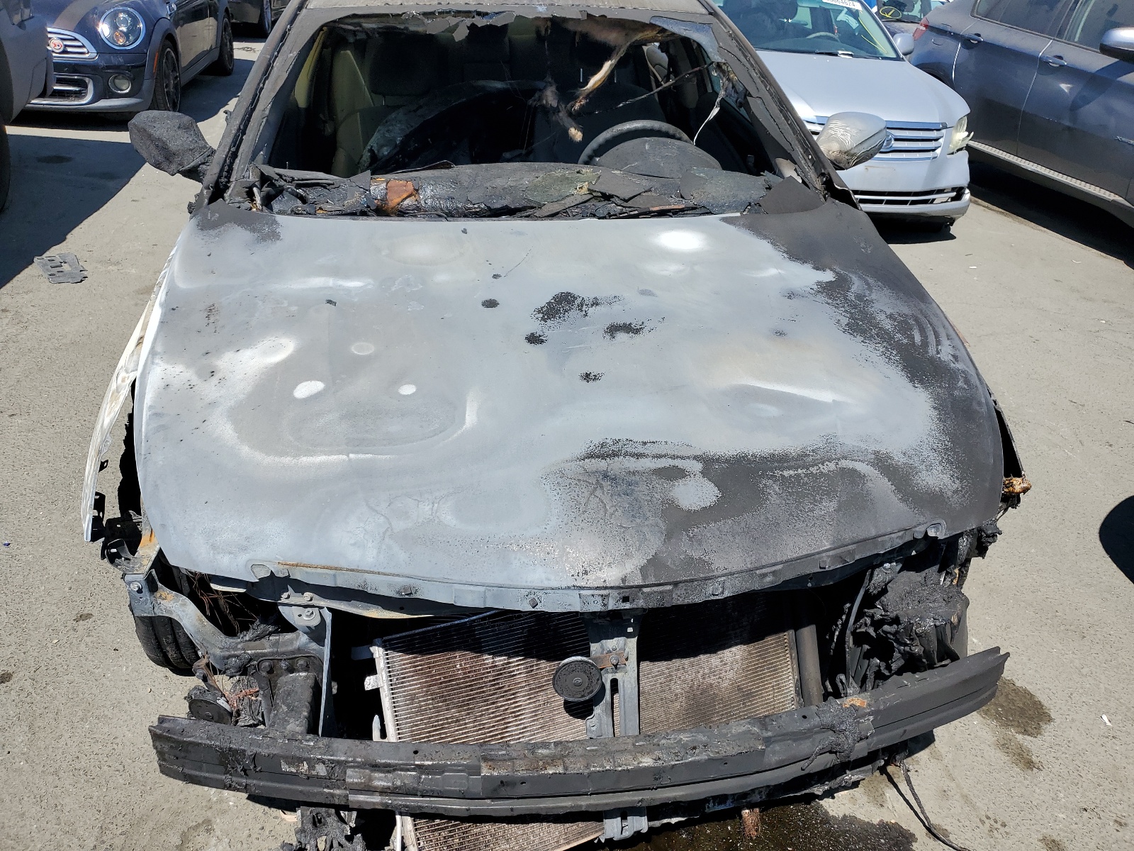 5NPEB4AC0DH782650 2013 Hyundai Sonata Gls