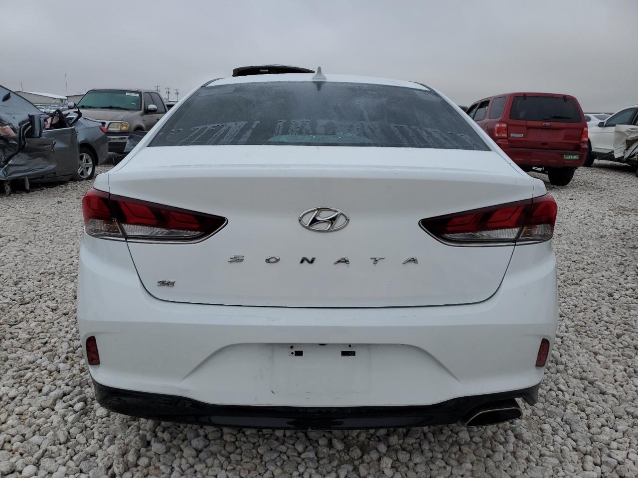 5NPE24AF6KH796995 2019 Hyundai Sonata Se