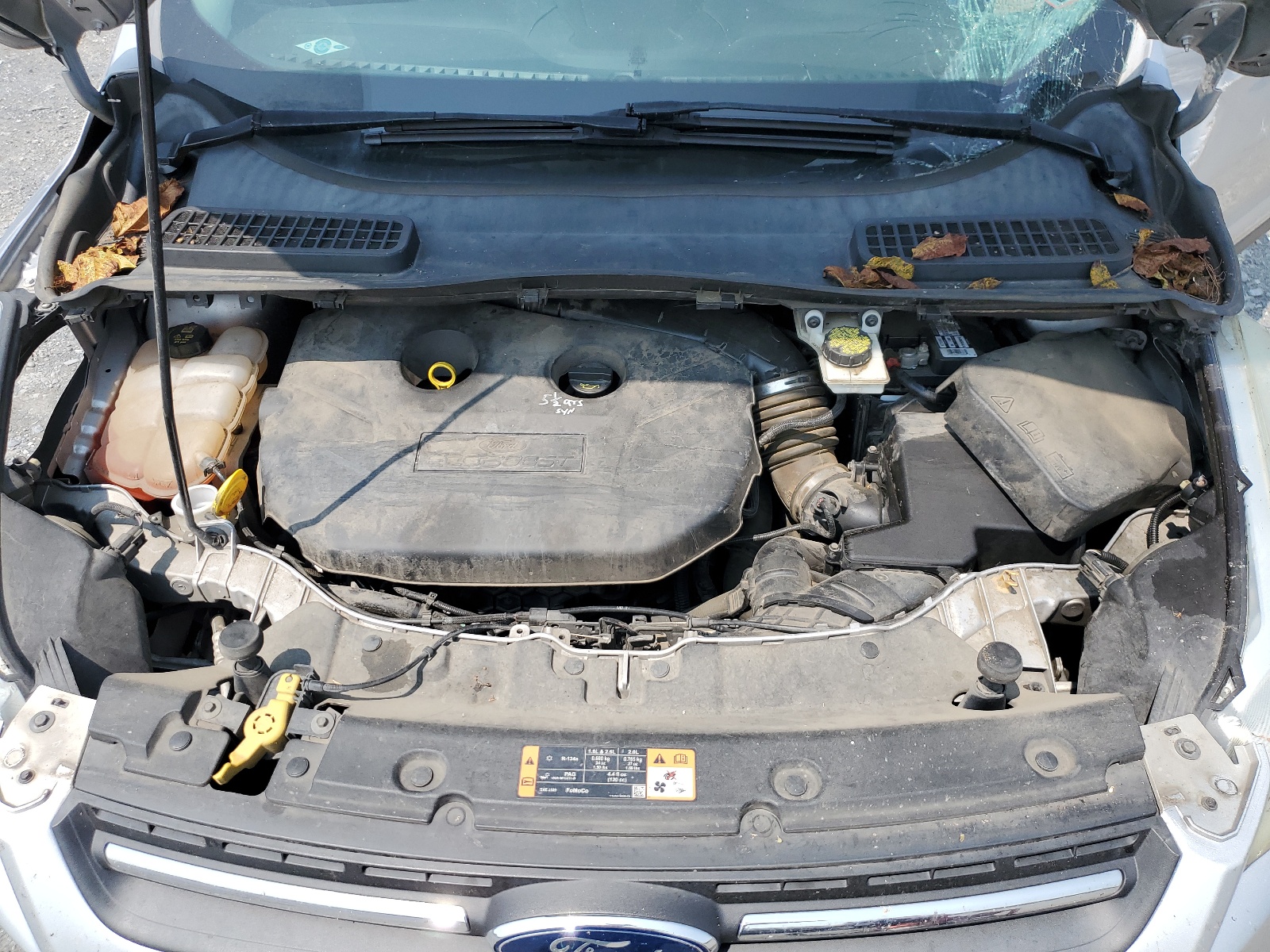 1FMCU9G9XFUC31592 2015 Ford Escape Se