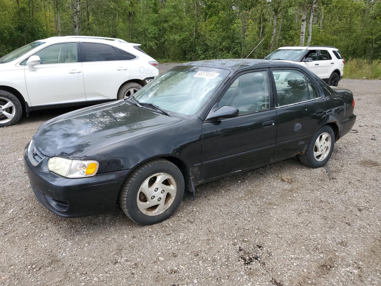2002 Toyota Corolla - Image 1