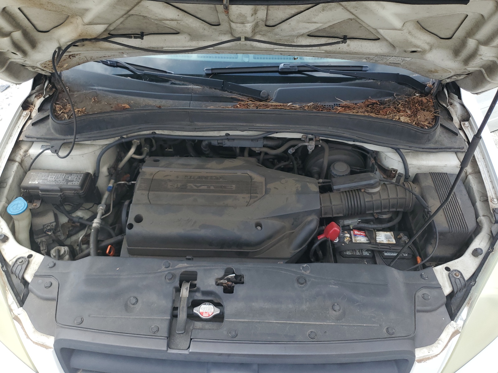 2HKYF18664H500852 2004 Honda Pilot Exl