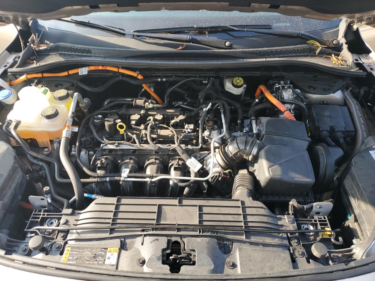 2021 Ford Escape Titanium VIN: 1FMCU0DZ9MUB05561 Lot: 66652674