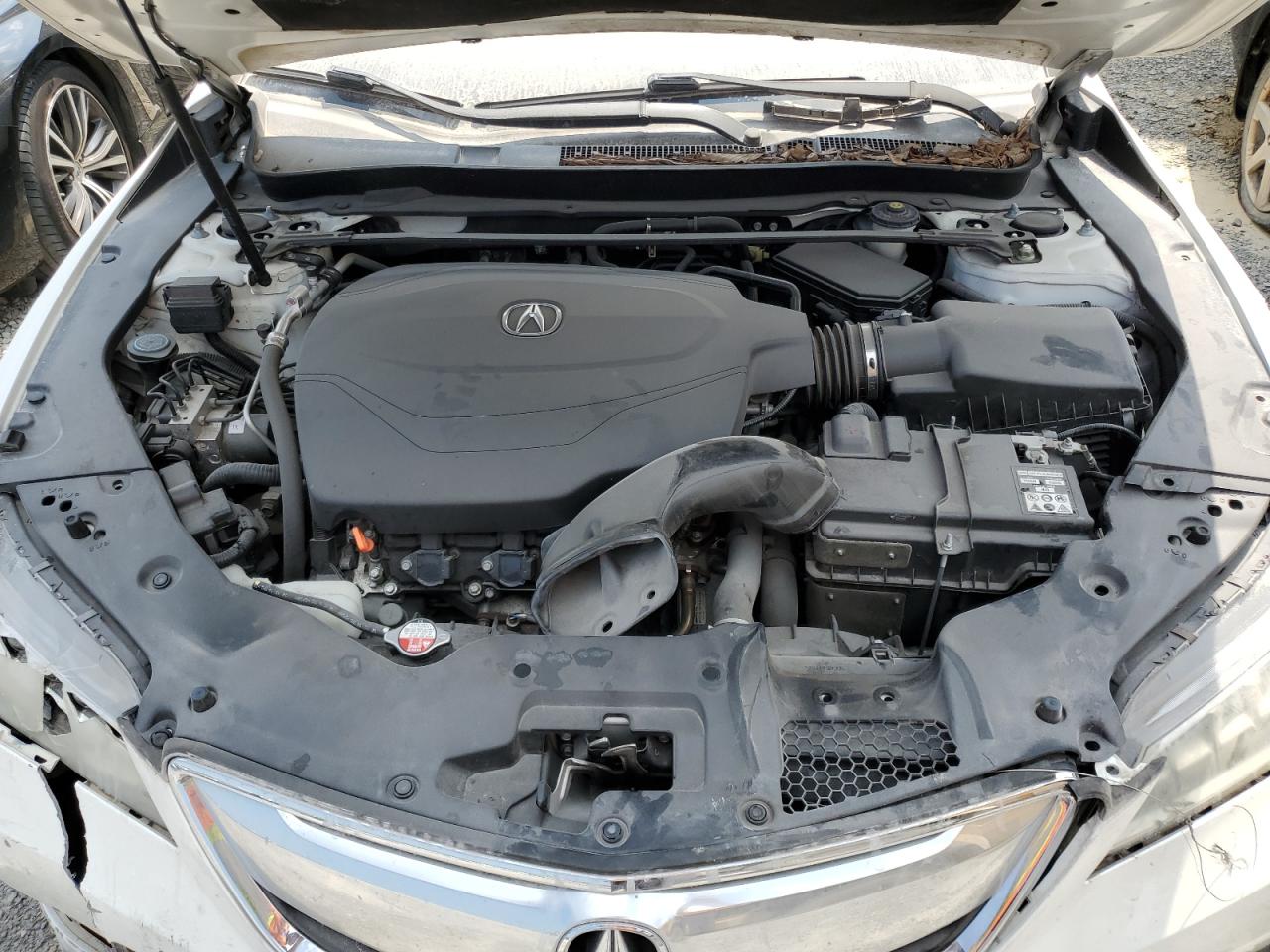 2016 Acura Tlx VIN: 19UUB2F34GA000226 Lot: 66303024