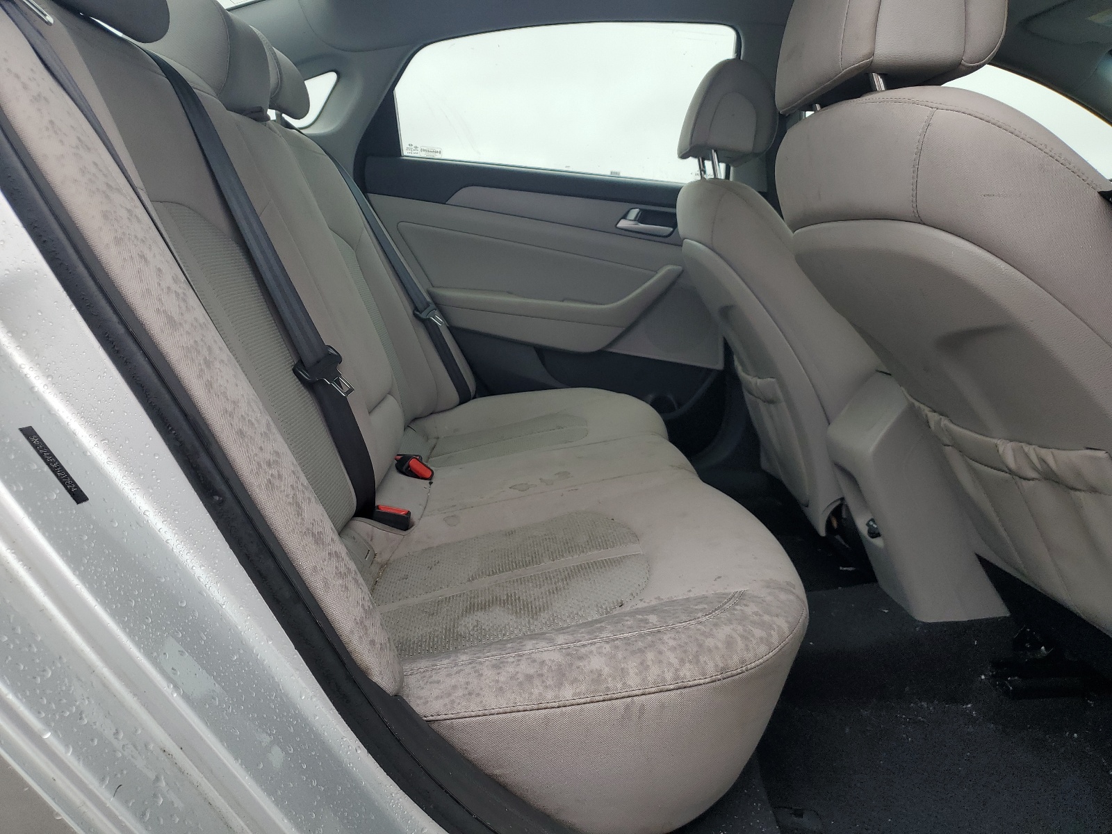 5NPE24AF3FH217824 2015 Hyundai Sonata Se