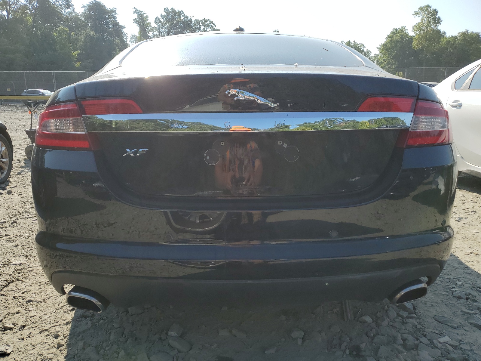 SAJWA0GB1BLS11192 2011 Jaguar Xf Premium