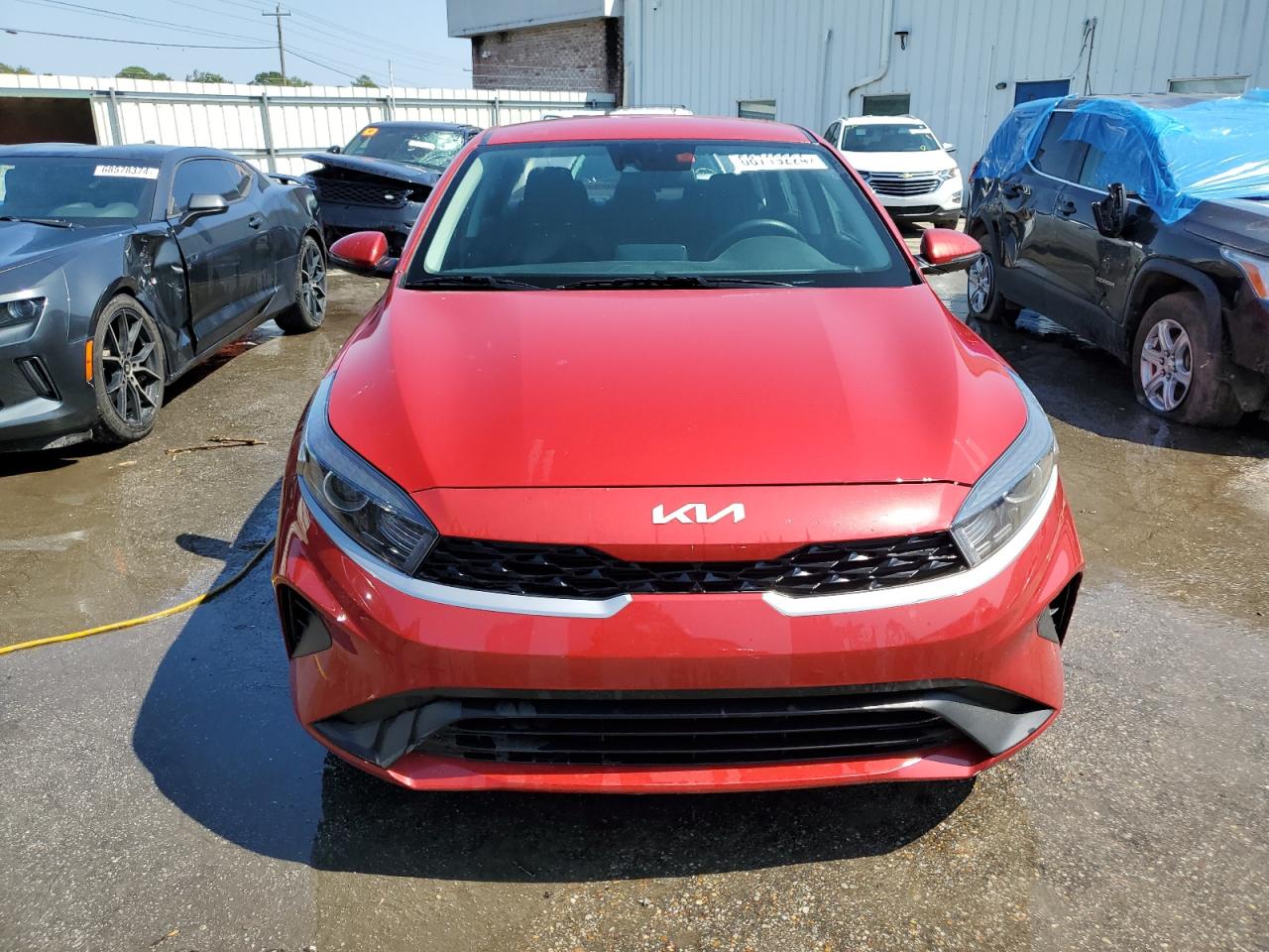 VIN 3KPF24AD5RE705927 2024 KIA FORTE no.5