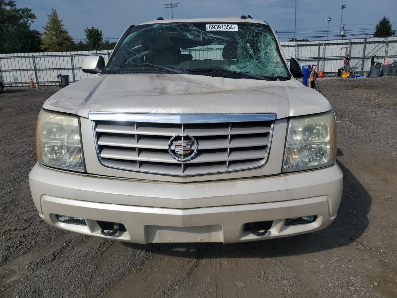 2005 Cadillac Escalade Luxury VIN: 1GYEK63N15R142493 Lot: 69391354