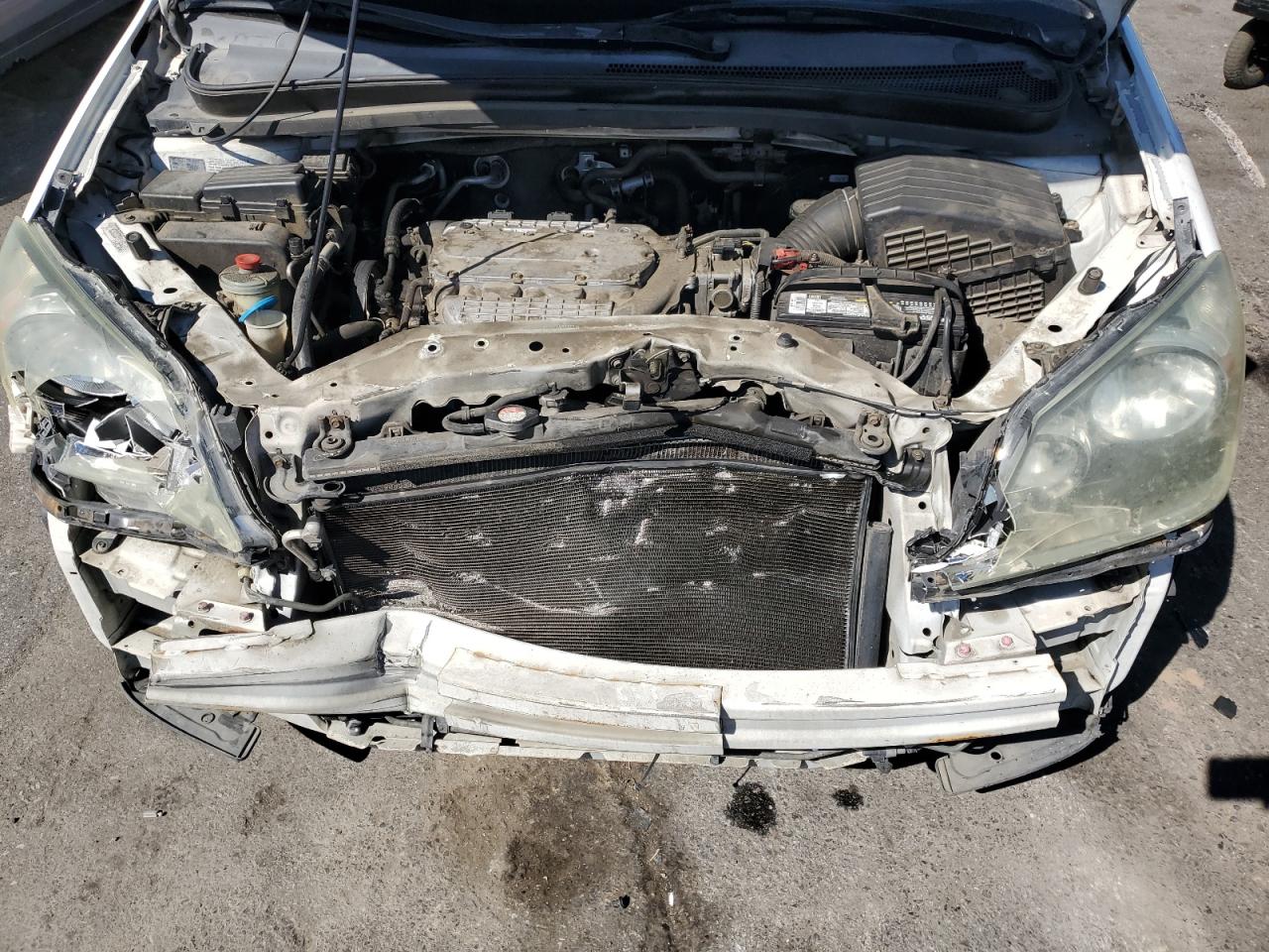 5FNRL38475B062690 2005 Honda Odyssey Ex