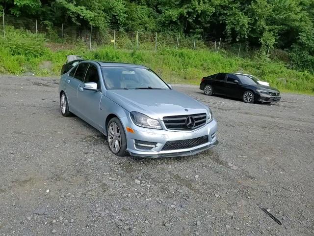 2013 Mercedes-Benz C 300 4Matic VIN: WDDGF8AB9DR270220 Lot: 66218204