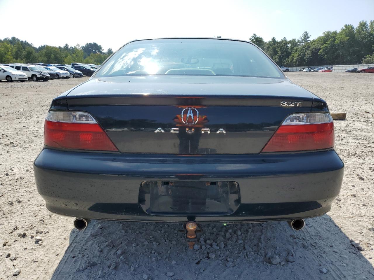2003 Acura 3.2Tl VIN: 19UUA56683A040852 Lot: 69035734