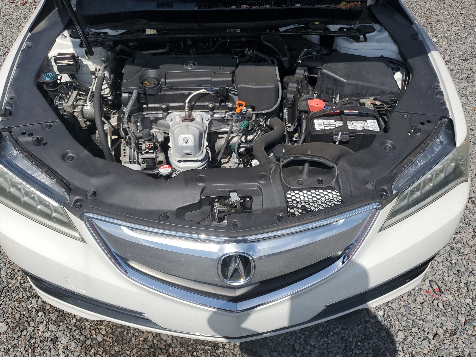 19UUB1F36HA008632 2017 Acura Tlx