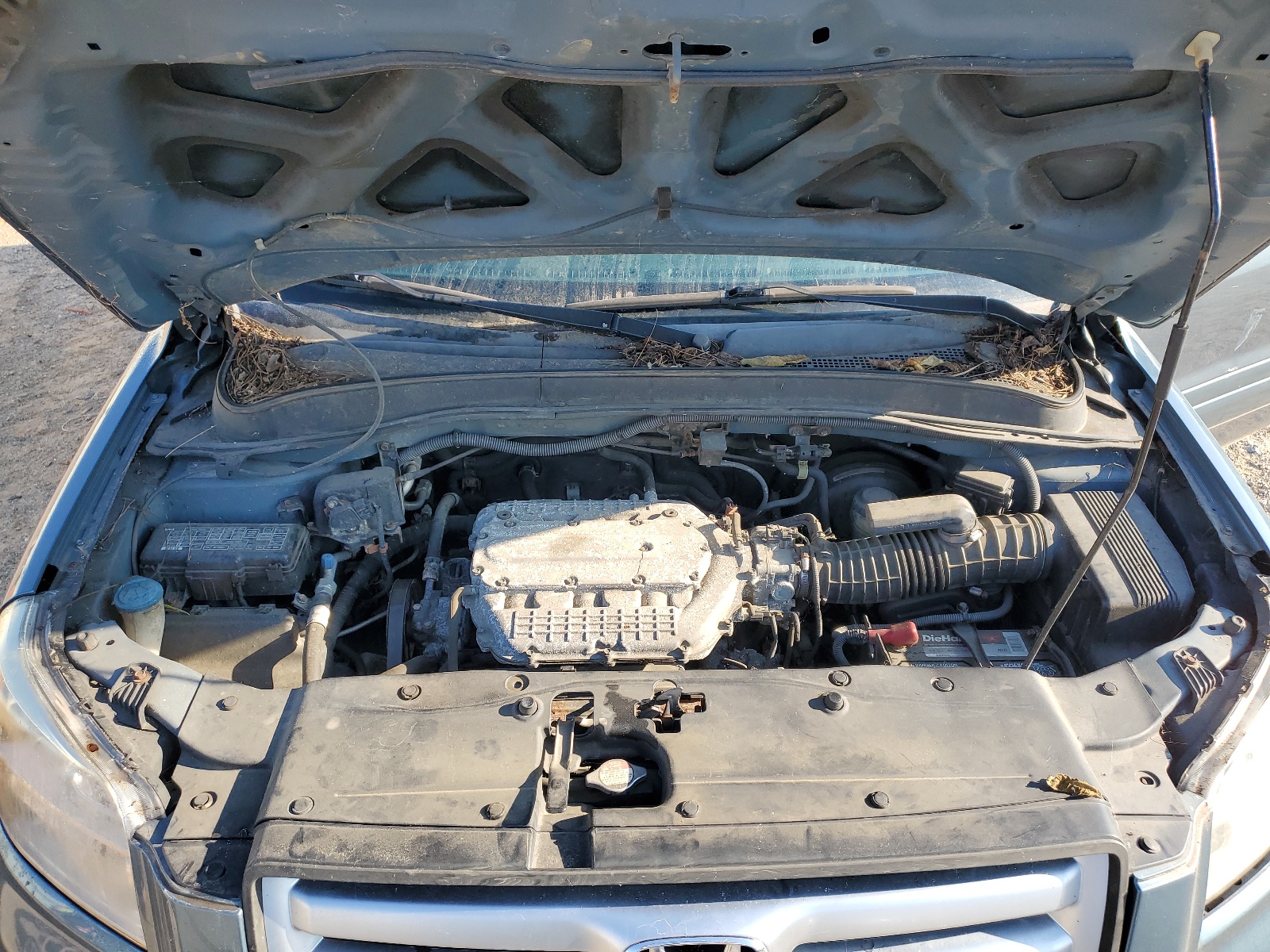 2HKYF18696H551877 2006 Honda Pilot Ex