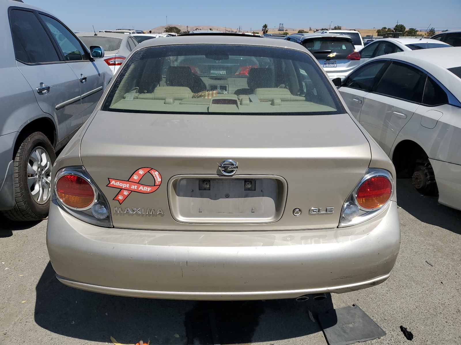 JN1DA31A03T418524 2003 Nissan Maxima Gle