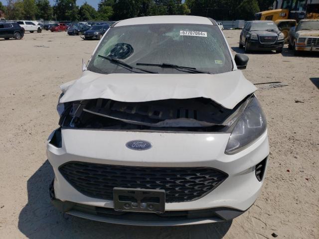  FORD ESCAPE 2021 Белый