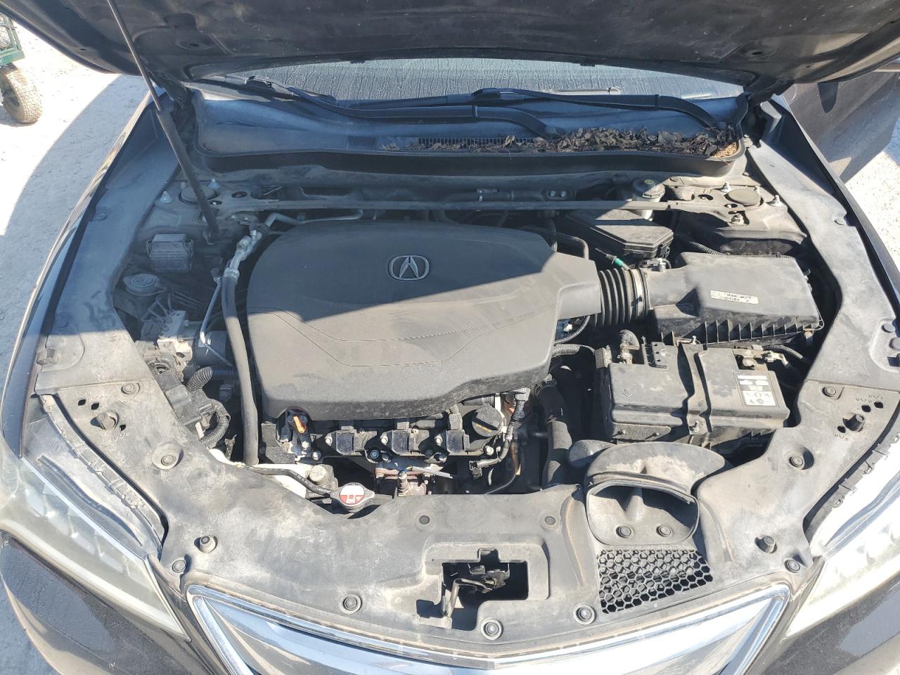 19UUB2F50FA010638 2015 Acura Tlx Tech