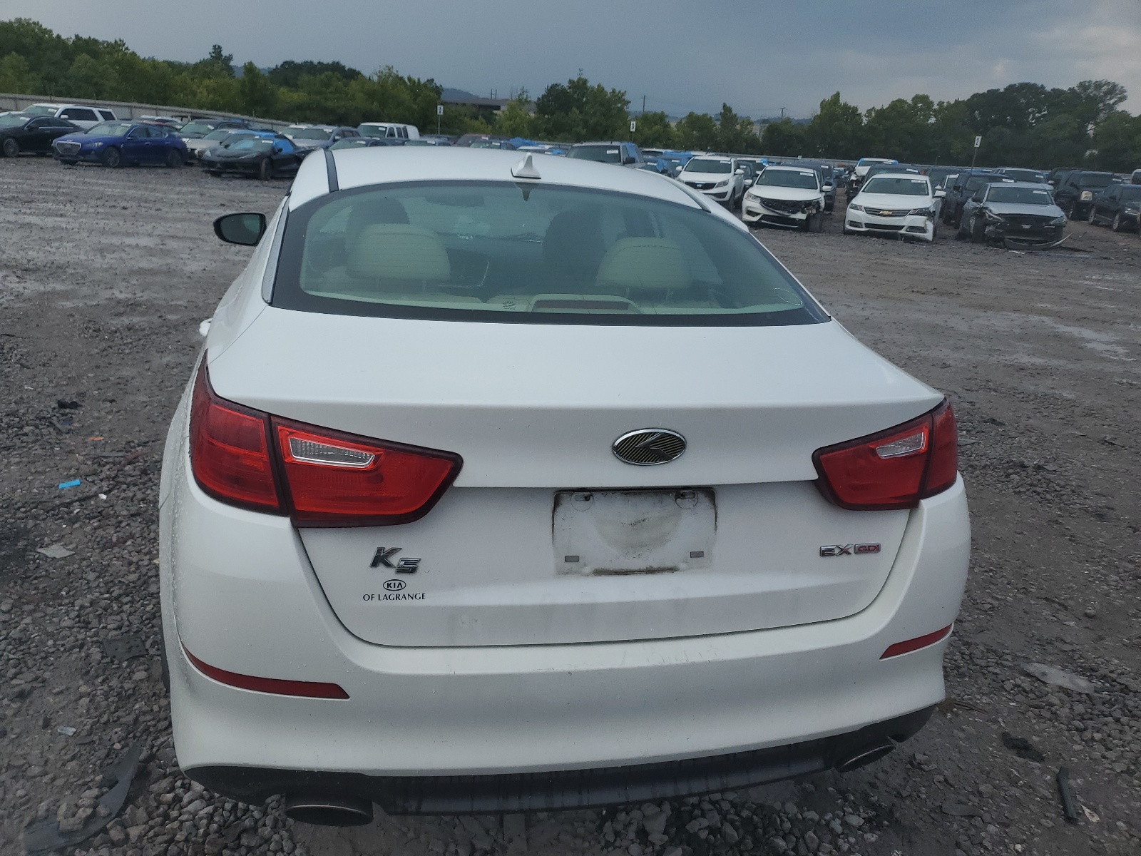 5XXGN4A72EG346558 2014 Kia Optima Ex