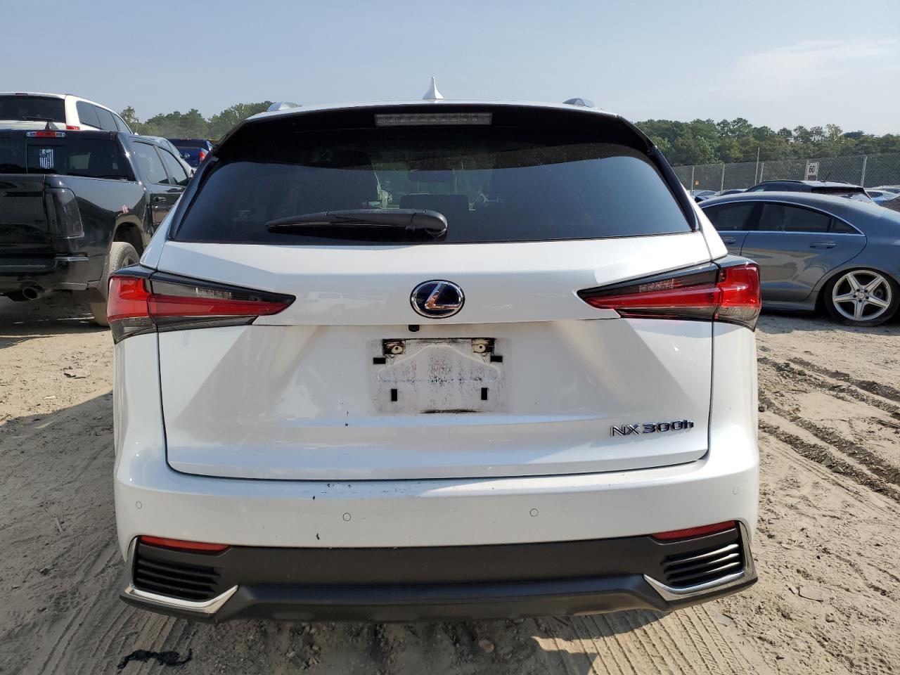 2020 Lexus Nx 300H VIN: JTJDJRDZ4L5006772 Lot: 68912274