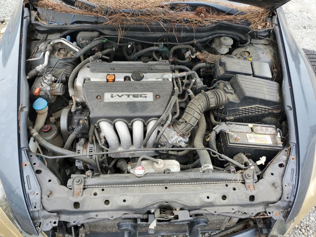 2006 Honda Accord Se VIN: 1HGCM56336A094086 Lot: 66234694