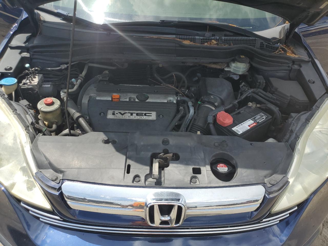 2009 Honda Cr-V Exl VIN: 5J6RE38739L022463 Lot: 66705034