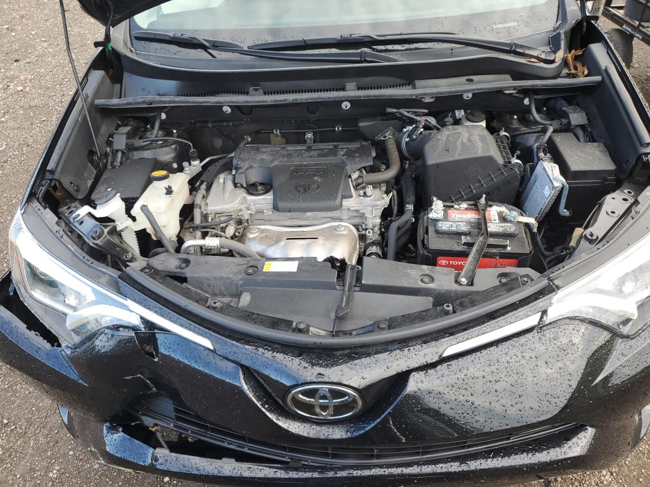 2017 Toyota Rav4 Limited VIN: 2T3DFREV5HW559494 Lot: 65641684