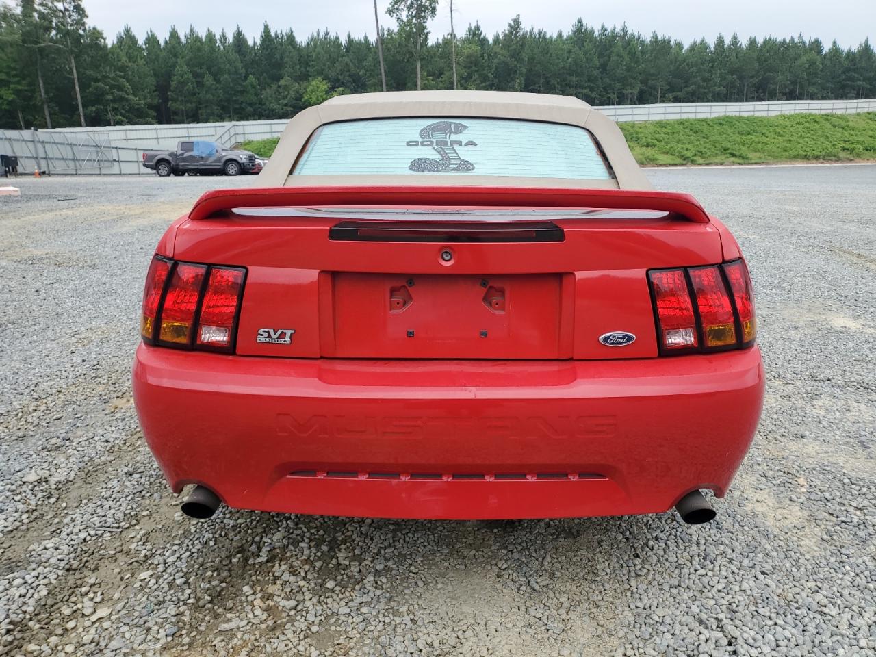 1999 Ford Mustang Cobra Svt VIN: 1FAFP46V2XF178859 Lot: 67139554