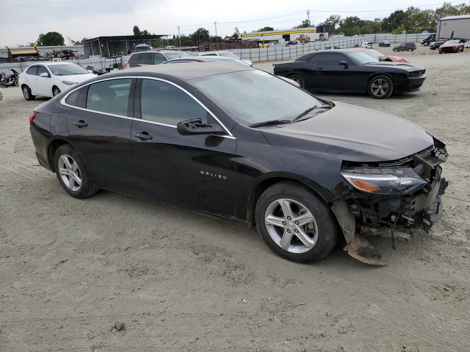 2023 Chevrolet Malibu Lt vin: 1G1ZD5ST0PF248099